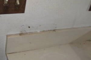 Plumbing Tub Shower Remodel Repairs - Plumbing