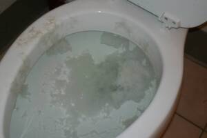 Plumbing Toilet Commercial Flush Repair - Plumbing