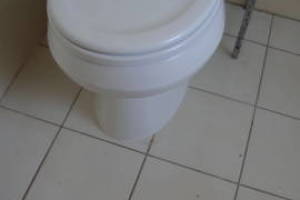 Plumbing Toilet Home New Replace - Plumbing