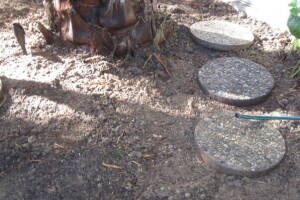 Plumbing Toilet Main Sewer Line Repair - Plumbing