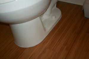 Plumbing Toilet Replacement Bathroom - Plumbing