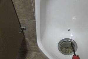 Plumbing Urinal Waterless Clogged Cleaning - Plumbing