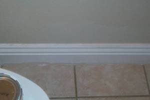 Remodel Bathroom Paint Plumbing Repairs - Remodeling