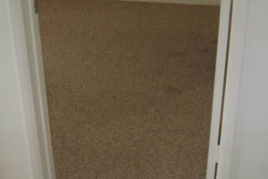 Repair Apartment Carpet Removal Stairs Paint - Repair