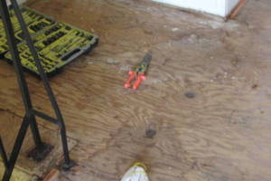 Repair Apartment Carpet Removal Stairs Paint - Repair