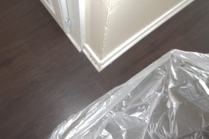 Repair Apartment Turnover Paint Caulking - Repair