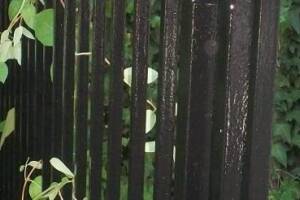 Repair Handyman Rod Iron Fence Repaint - Repair