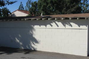 Repair Reo Property Storage Shed Demo - Repair