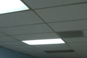 Ventura Drop Ceiling Tile Installed T Bar Grid Repaired