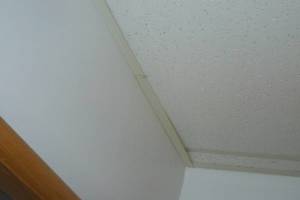 Ventura Drop Ceiling Tile Installed T Bar Grid Repaired