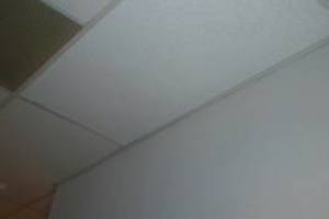 Studio City Drop Ceiling Tile Installed T Bar Grid Repaired