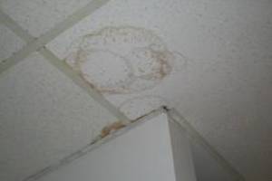 Repair Drop Ceiling Stained Replaced - Repair