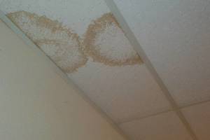 Repair Drop Ceiling Stained Replaced - Repair