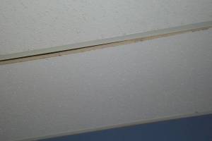 Repair Drop Ceiling Stained Replaced - Repair