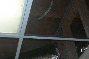 Drop Ceiling Tile Installs T Bar Ceiling Grid Repairs Replacement